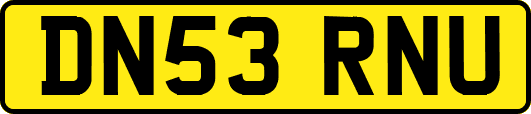 DN53RNU