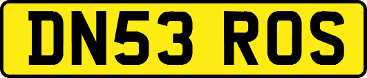 DN53ROS
