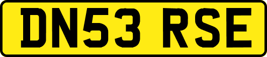 DN53RSE