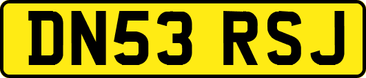 DN53RSJ