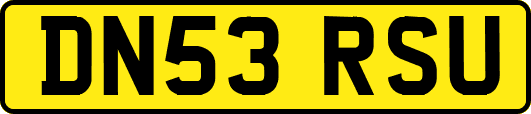 DN53RSU