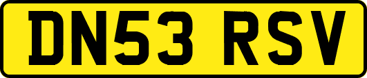 DN53RSV