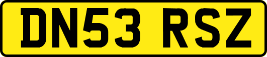 DN53RSZ