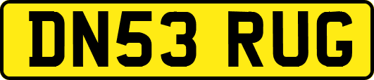 DN53RUG