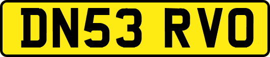 DN53RVO