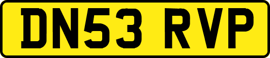 DN53RVP