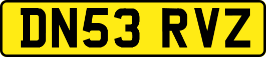 DN53RVZ