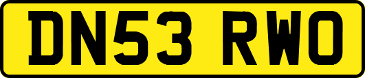 DN53RWO