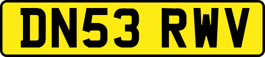 DN53RWV