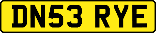 DN53RYE