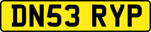 DN53RYP