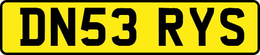 DN53RYS
