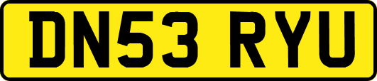 DN53RYU
