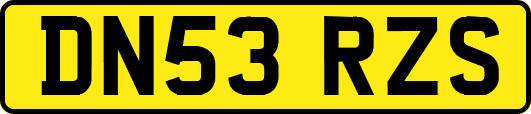 DN53RZS