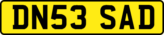 DN53SAD