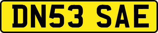 DN53SAE