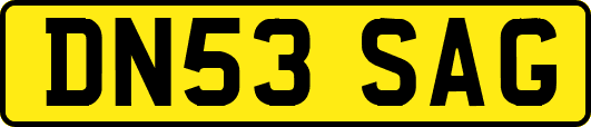 DN53SAG