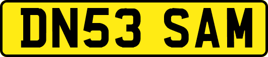 DN53SAM