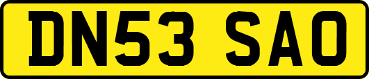 DN53SAO