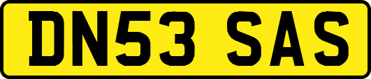 DN53SAS