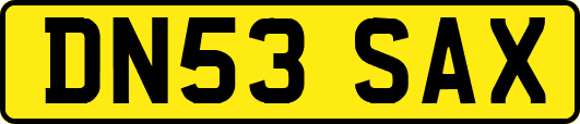 DN53SAX