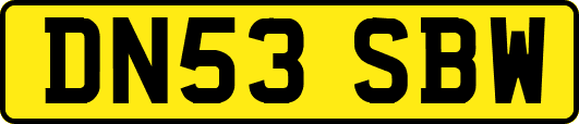 DN53SBW