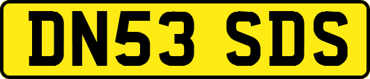 DN53SDS