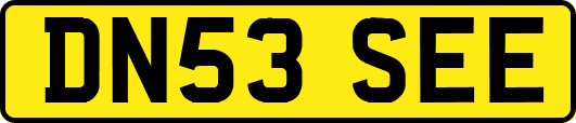 DN53SEE