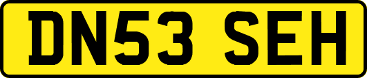 DN53SEH