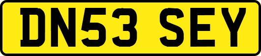 DN53SEY