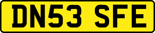DN53SFE