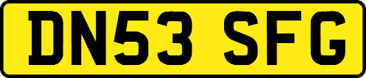 DN53SFG