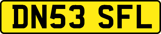 DN53SFL