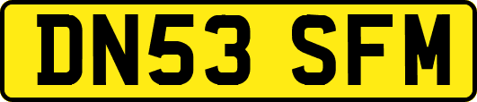 DN53SFM