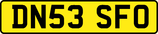 DN53SFO