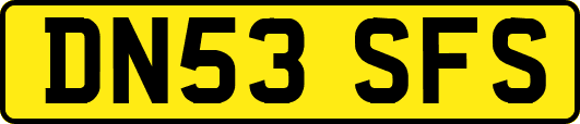 DN53SFS