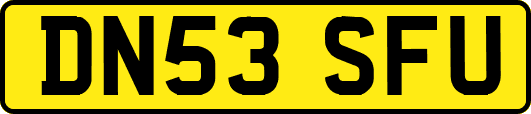 DN53SFU