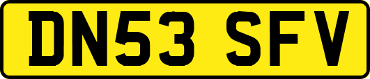 DN53SFV