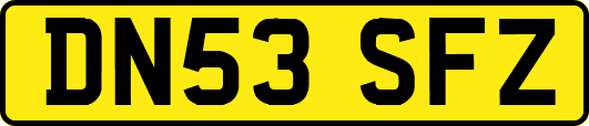 DN53SFZ