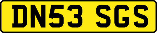 DN53SGS