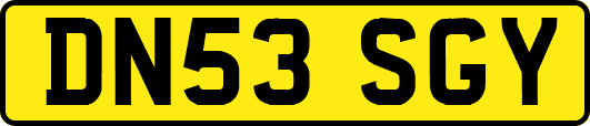 DN53SGY