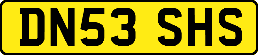 DN53SHS