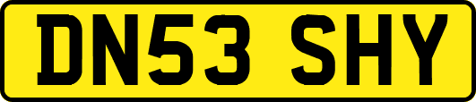 DN53SHY
