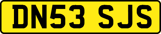 DN53SJS
