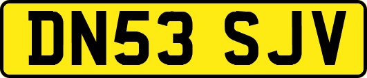 DN53SJV