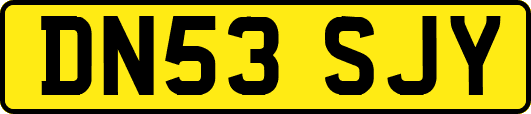 DN53SJY