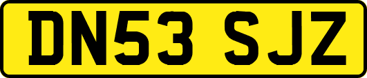 DN53SJZ