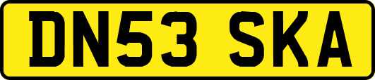 DN53SKA