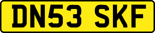 DN53SKF