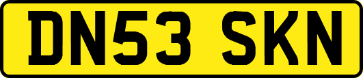 DN53SKN